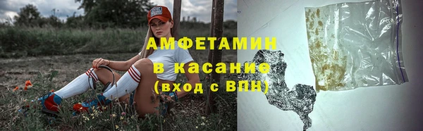 трава Надым