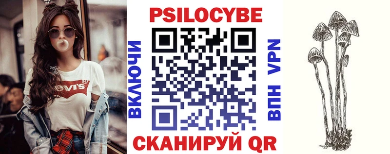 Купить закладки  Ардатов  Псилоцибиновые грибы MAGIC MUSHROOMS 